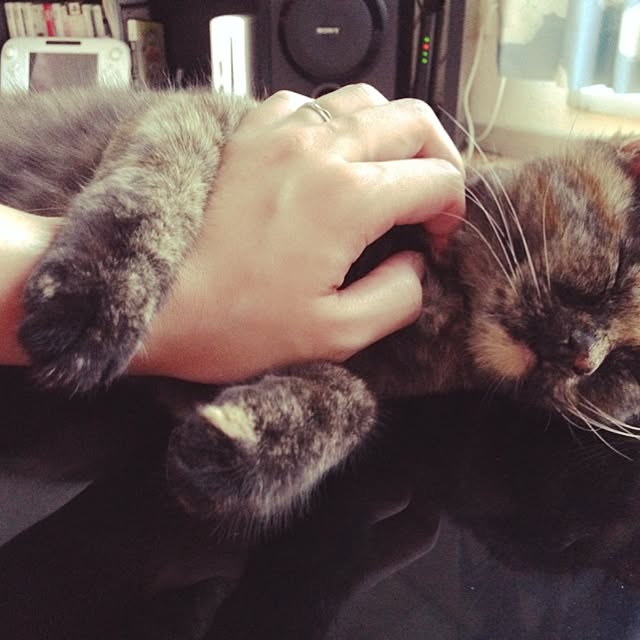 yufullfullさんの実例写真