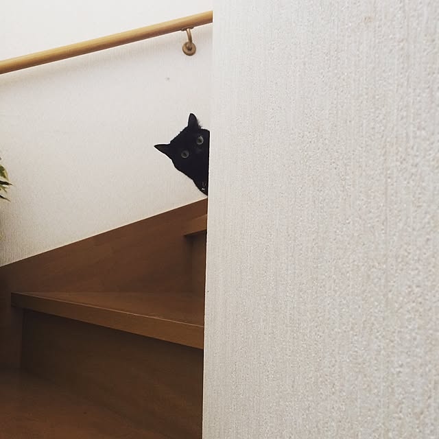 Miさんの実例写真