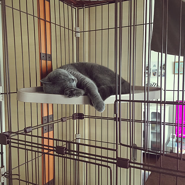 kittyさんの実例写真