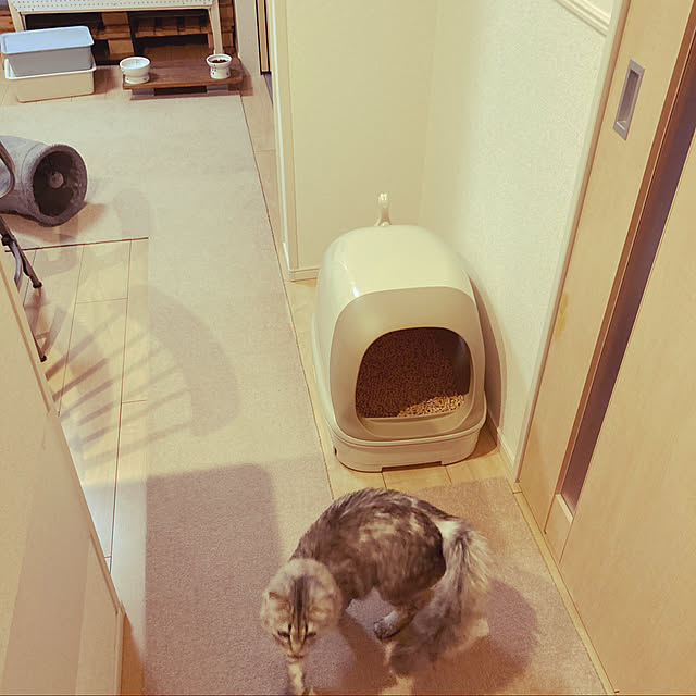 kkkさんの実例写真