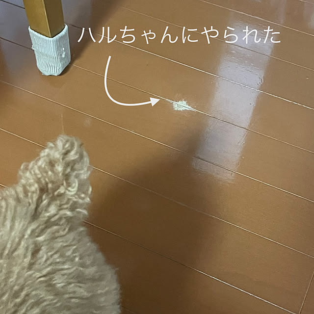 kawauso15さんの部屋