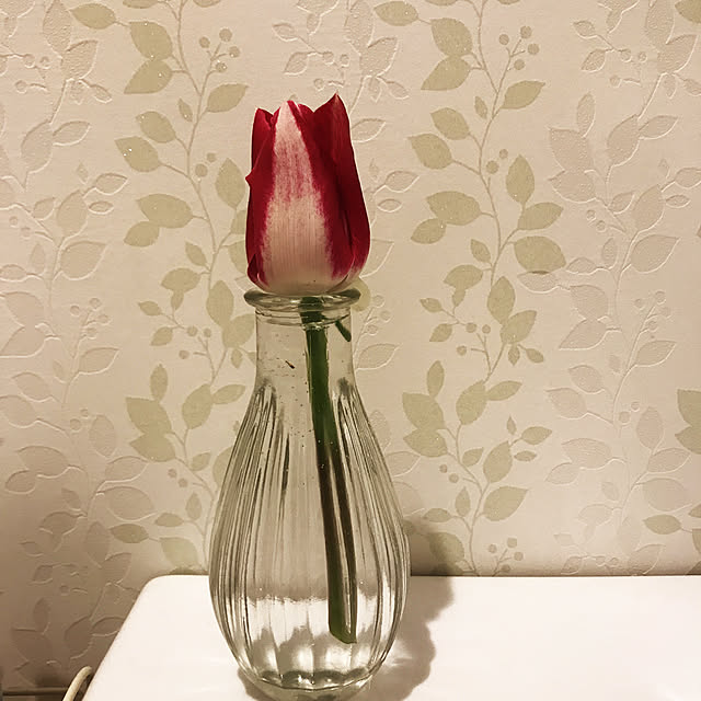 tabinekoさんの実例写真