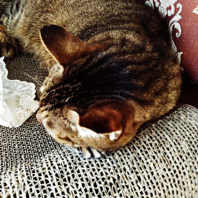 lilyさんの実例写真