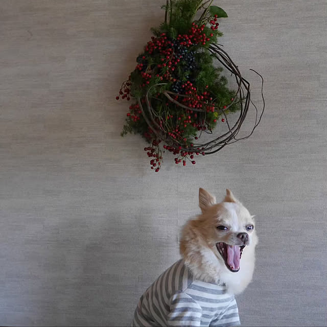 non_hamayotsuさんの実例写真
