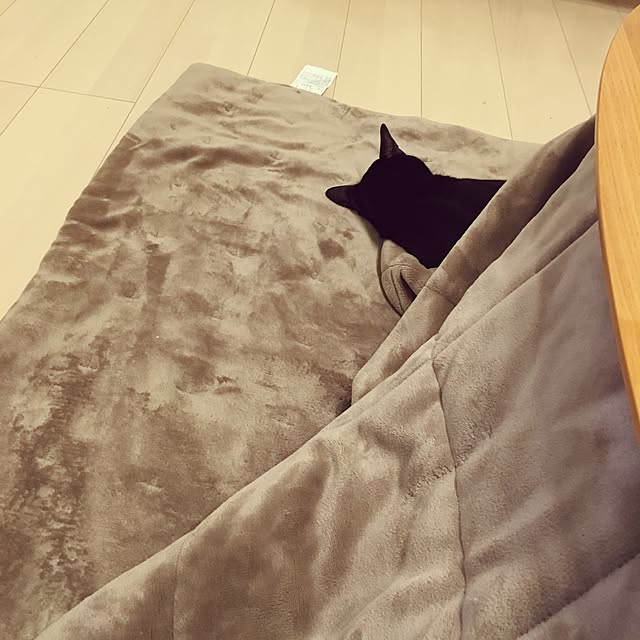 Kaoさんの実例写真