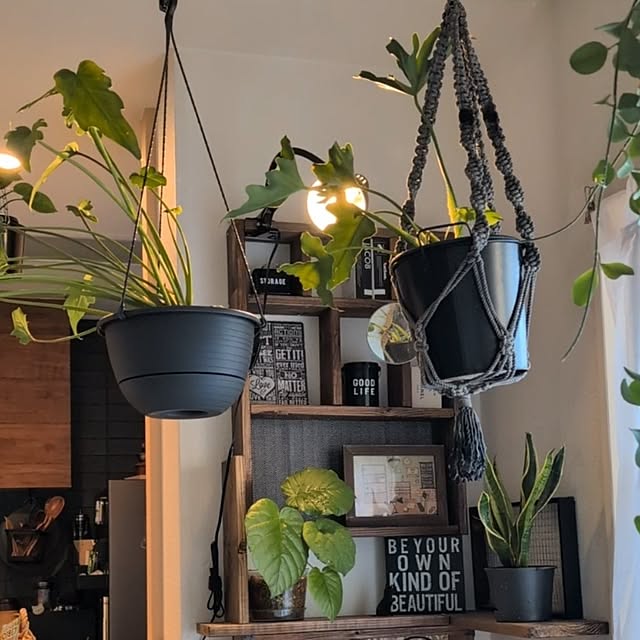 lovepeaceさんの実例写真