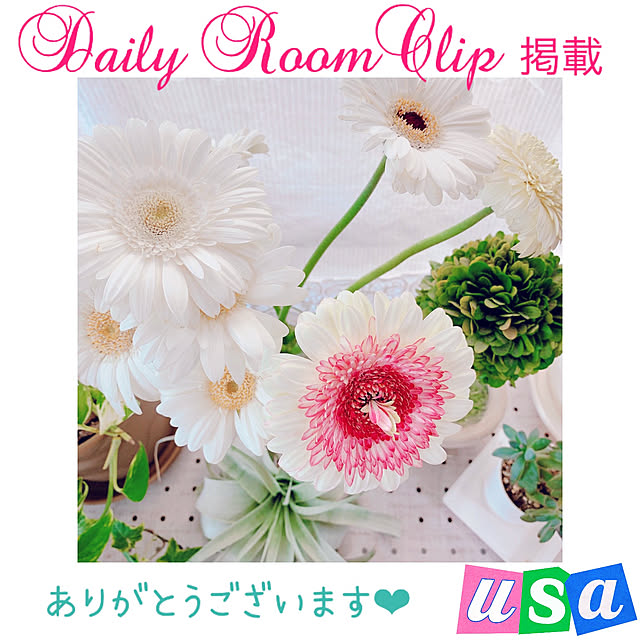 Llatte-usaさんの実例写真