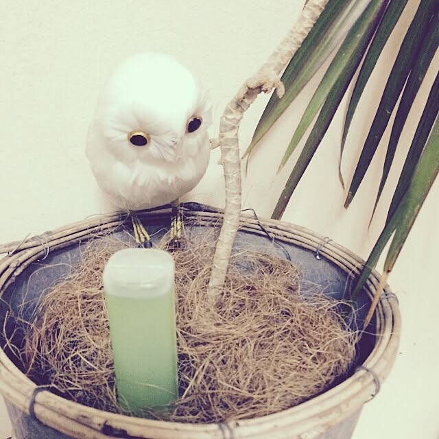 sachiさんの実例写真