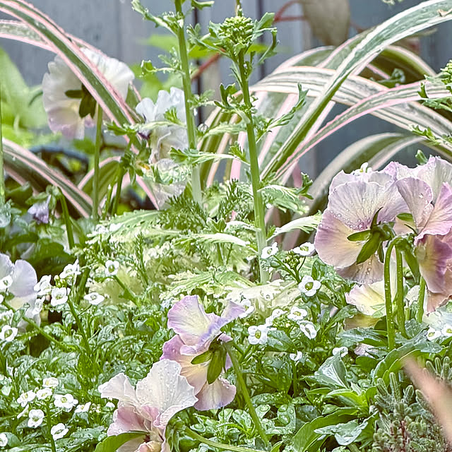 DAYONEさんの部屋