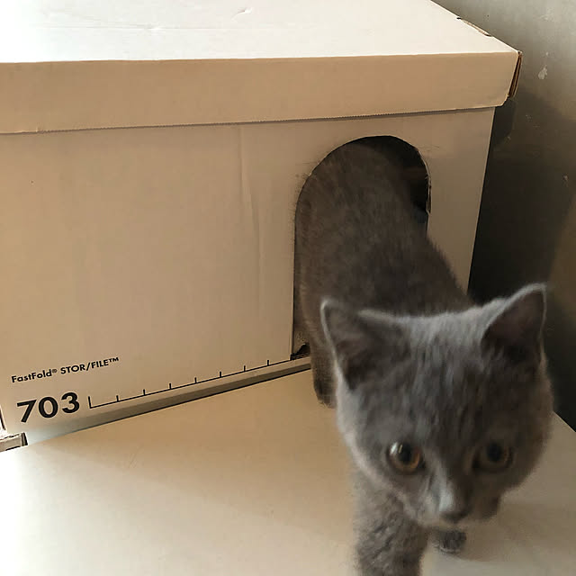 Rinaさんの実例写真