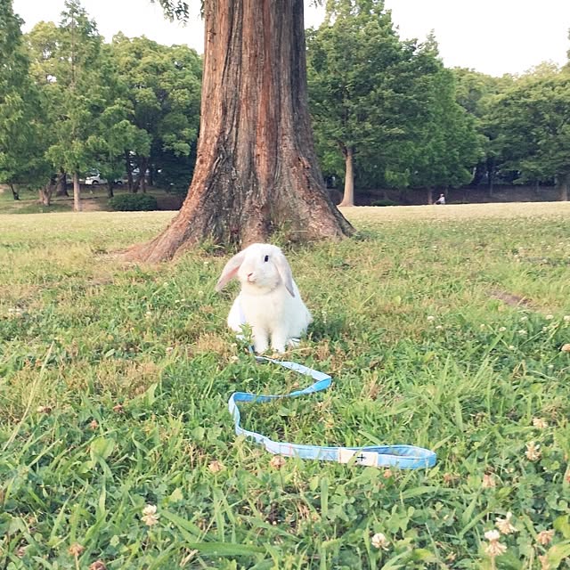 miraclegoodayさんの実例写真