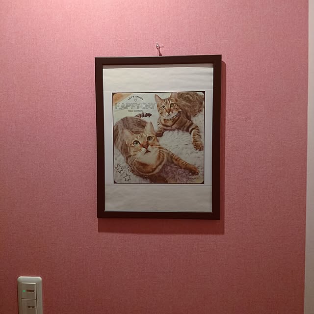 poniさんの実例写真