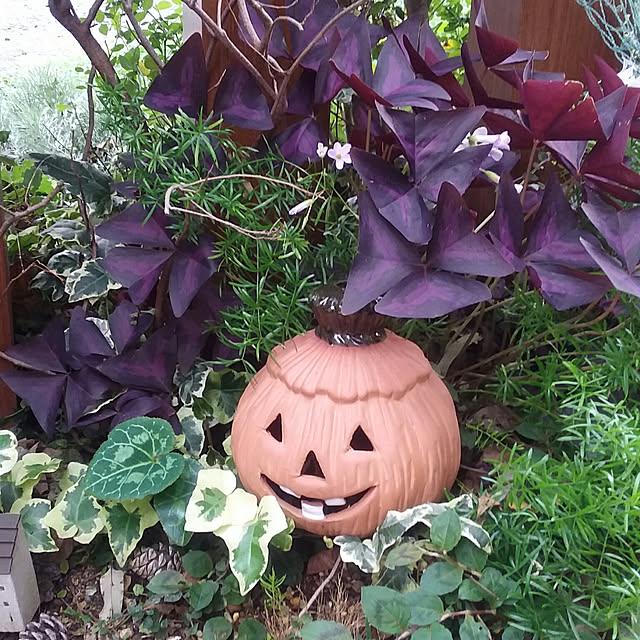 yukkoさんの実例写真