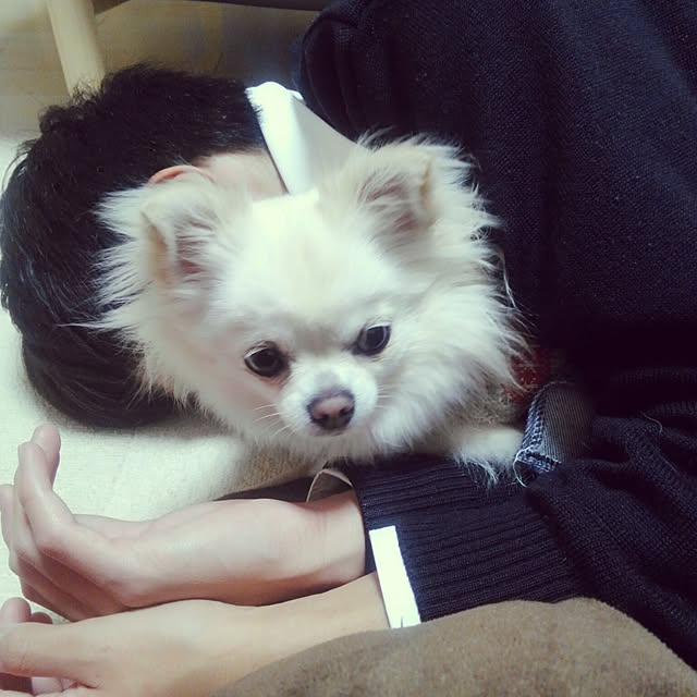 okuriさんの実例写真