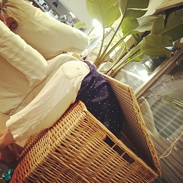 nonsuuさんの実例写真