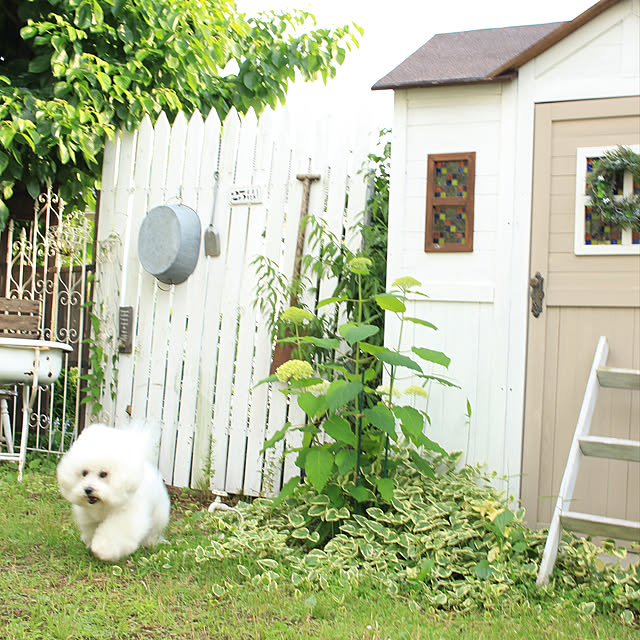 happy_bridgeさんの実例写真