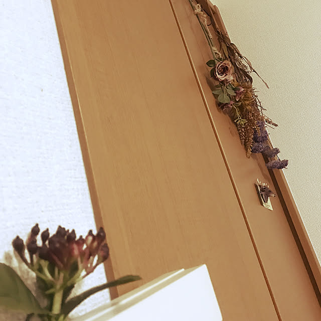 クローゼット/フェイクフラワー/ダイソー/Daiso/salut!...などのインテリア実例 - 2019-06-24 20:18:40