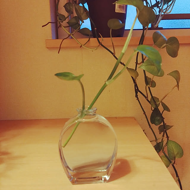 rikachakoさんの実例写真