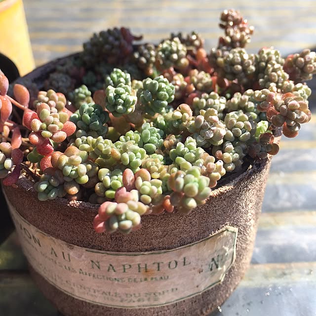 k-grainさんの実例写真