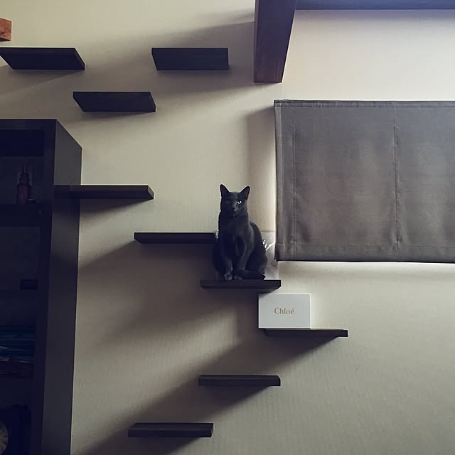 lildstさんの実例写真