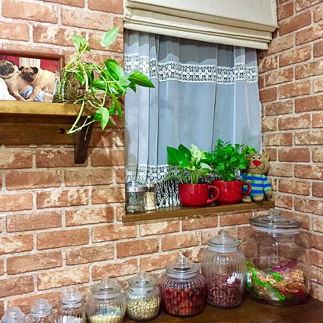 butachanさんの実例写真