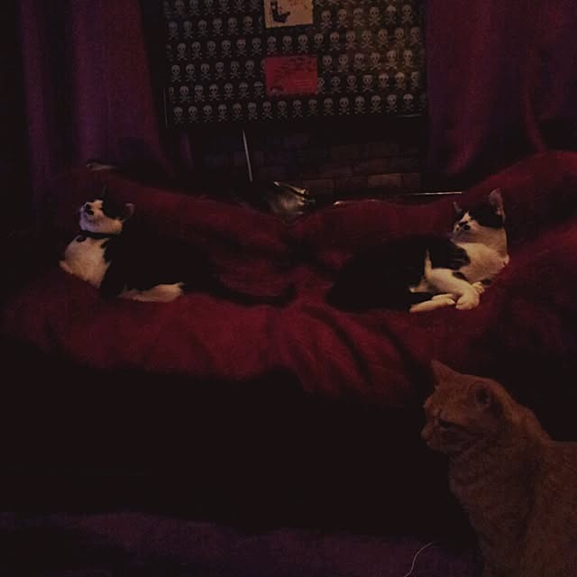 emmyyさんの実例写真
