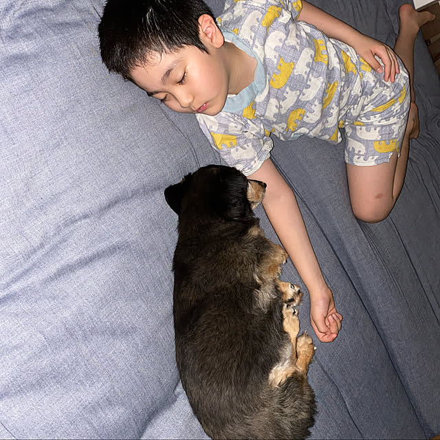 ohanaさんの実例写真