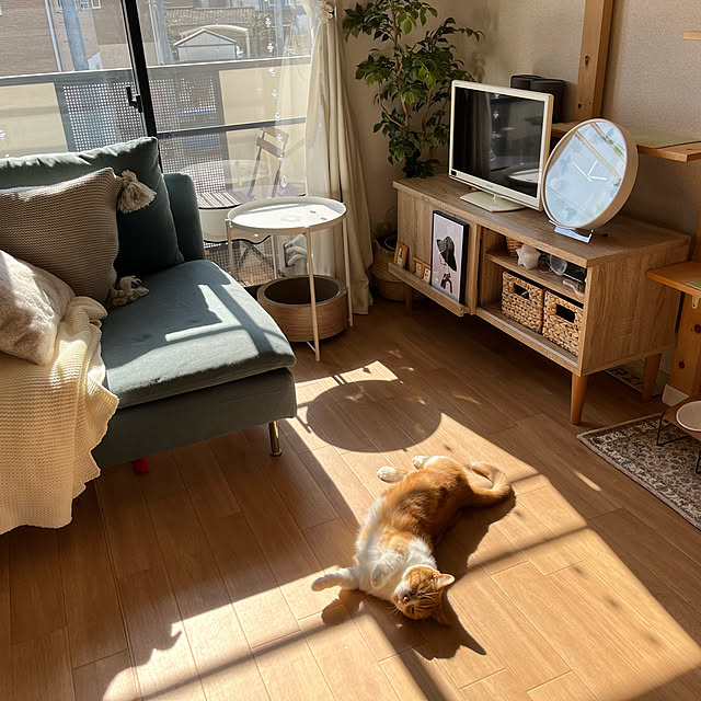maruさんの実例写真