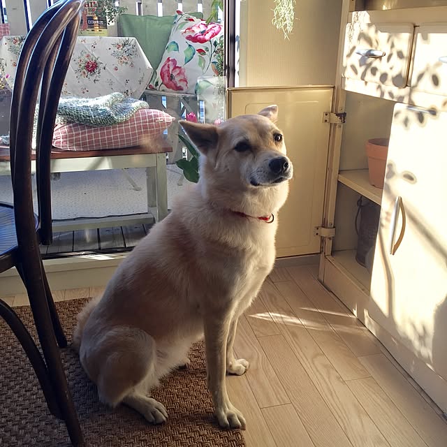 leonaさんの実例写真