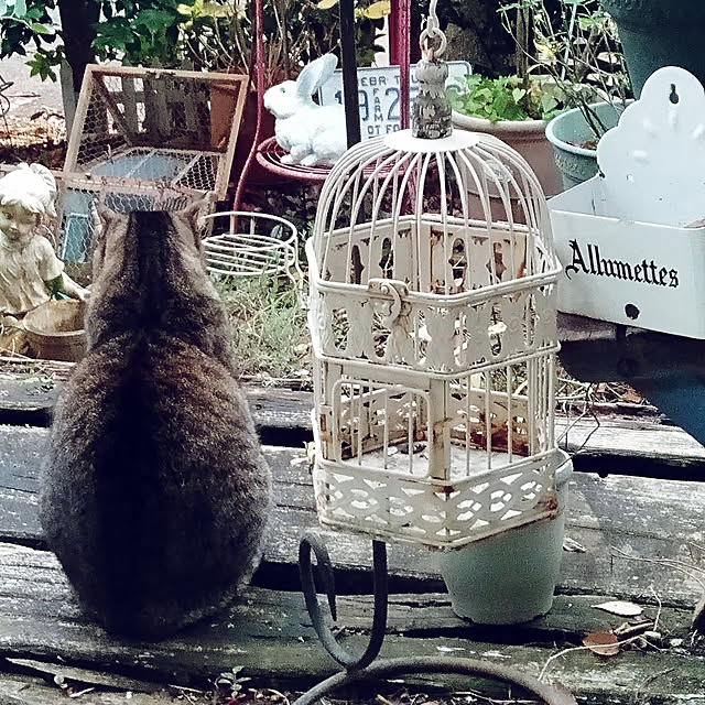 showさんの実例写真