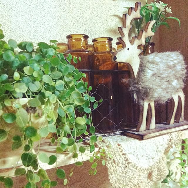 mintさんの実例写真