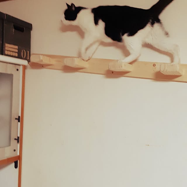 kazumiさんの部屋