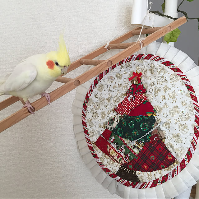 toratanさんの実例写真
