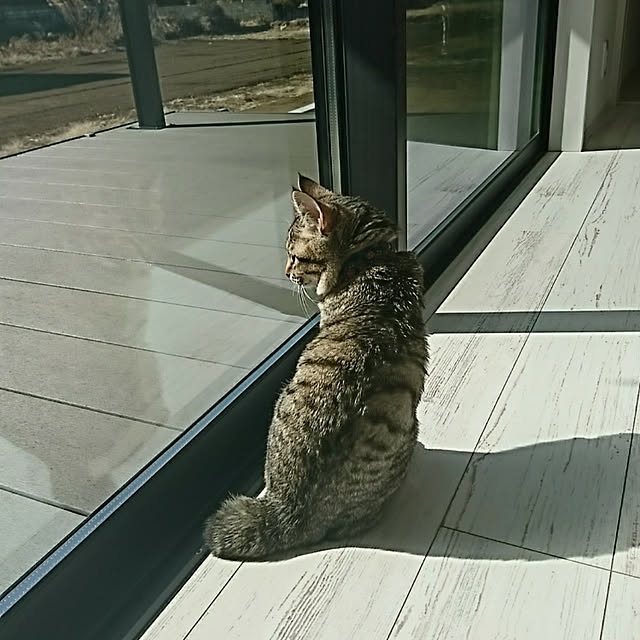 Tetoさんの実例写真