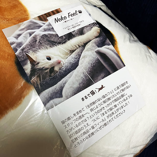 koshiregutyoさんの実例写真