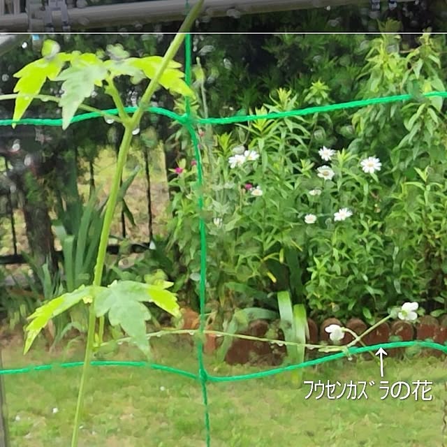 katさんの部屋