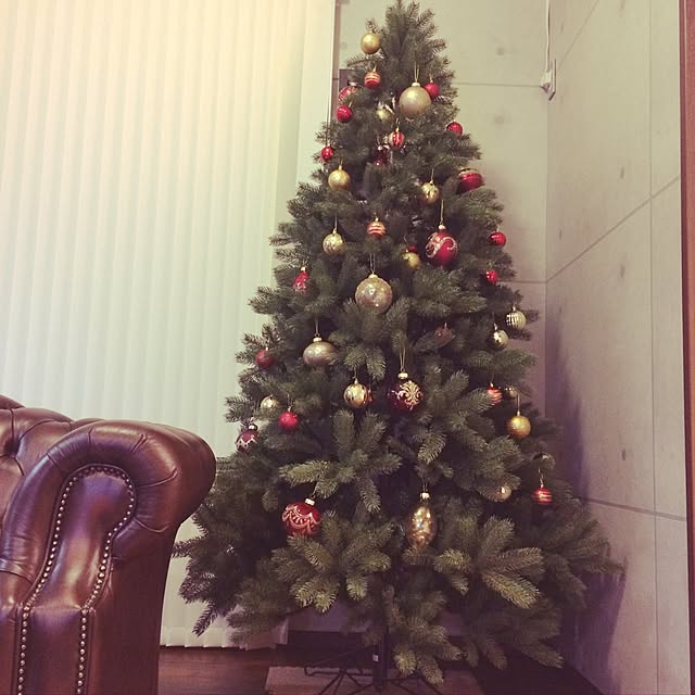 リビング/クリスマスのインテリア実例 - 2016-12-01 21:54:21