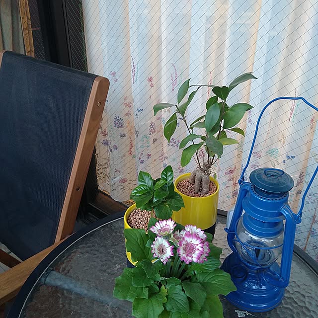 okyosan101さんの部屋