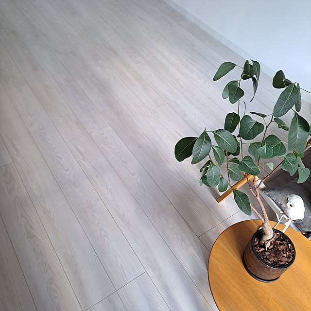 wnさんの実例写真