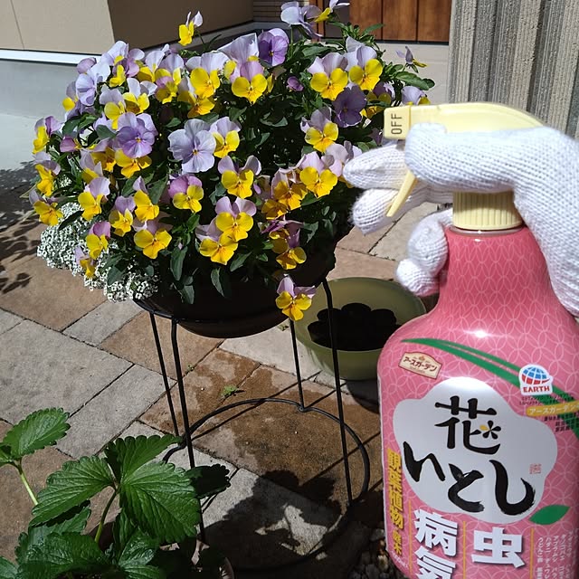 odecomaikoさんの実例写真