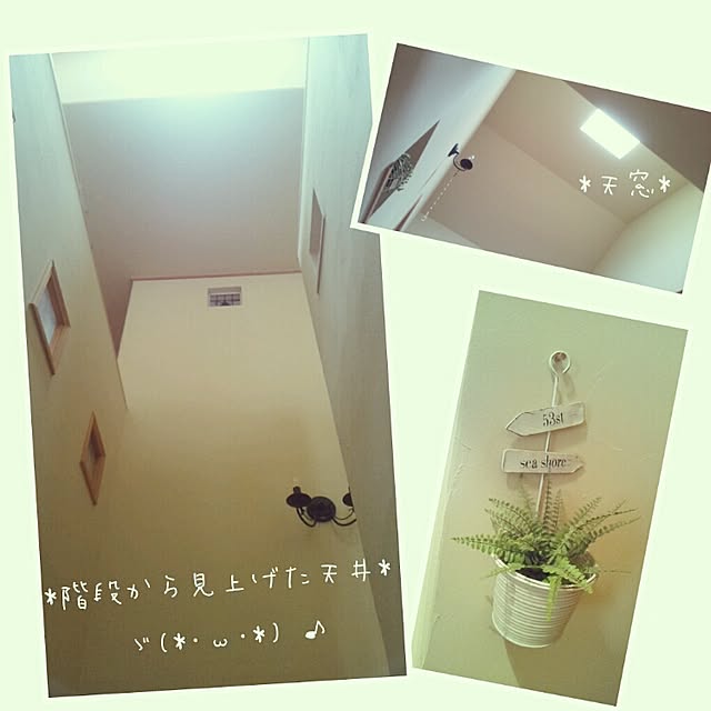 momono-miさんの実例写真