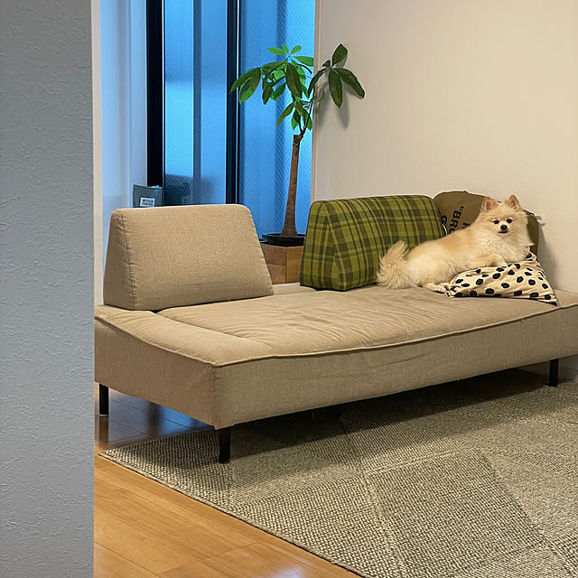 peanutsさんの実例写真