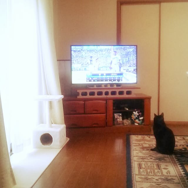 tomopさんの実例写真