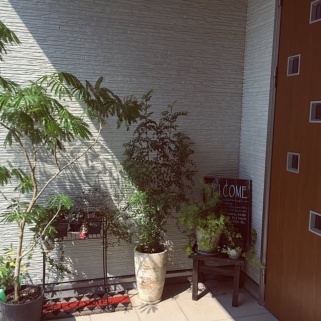 nanoさんの実例写真