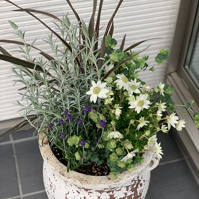 hmさんの実例写真