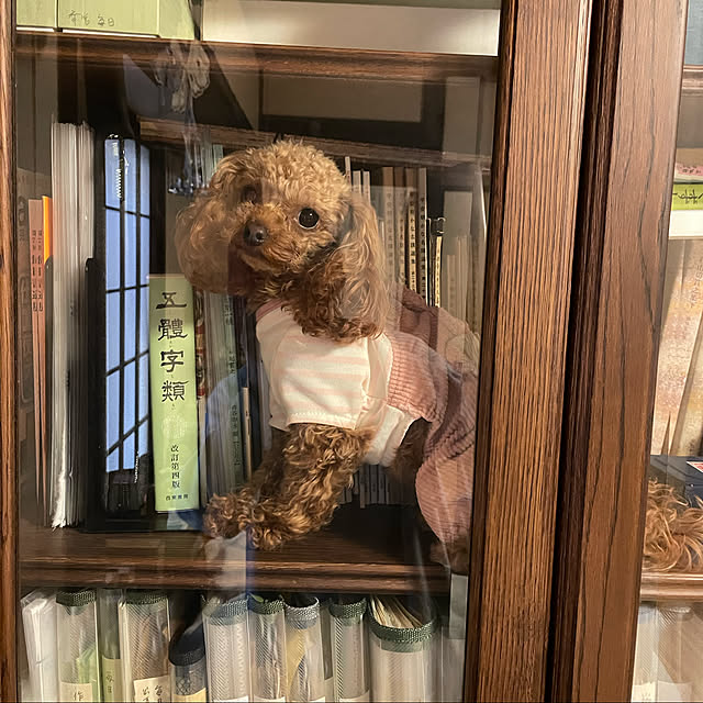 mamizaさんの実例写真