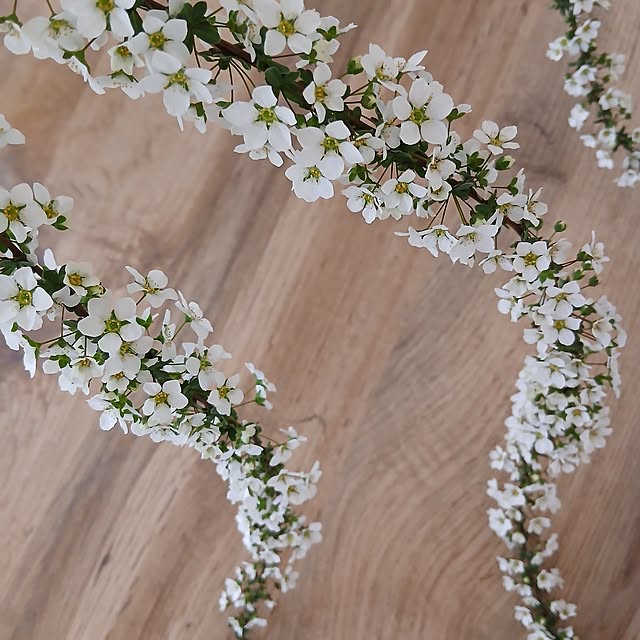 chidorinさんの部屋