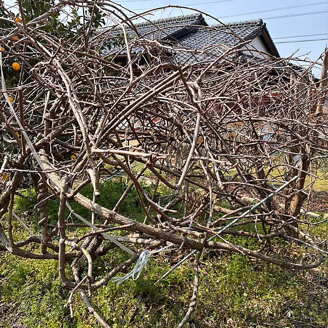 ayayayayaさんの部屋