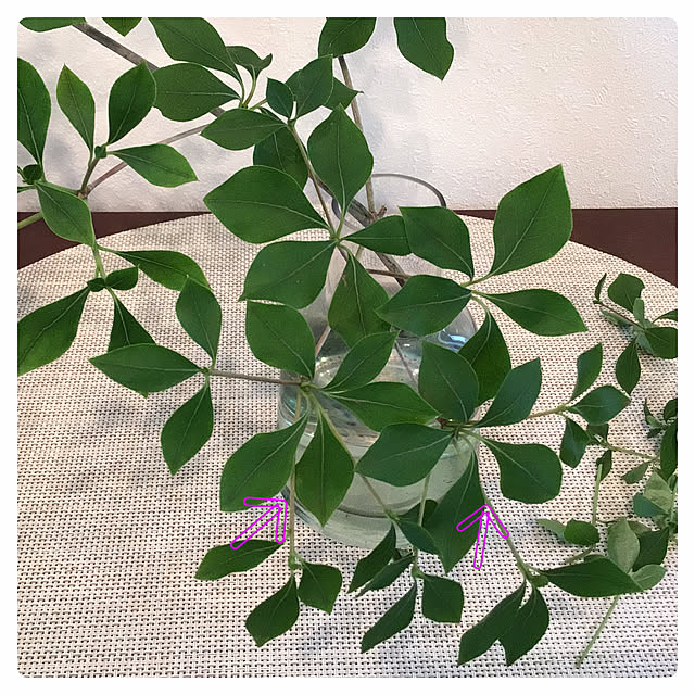 houenさんの部屋