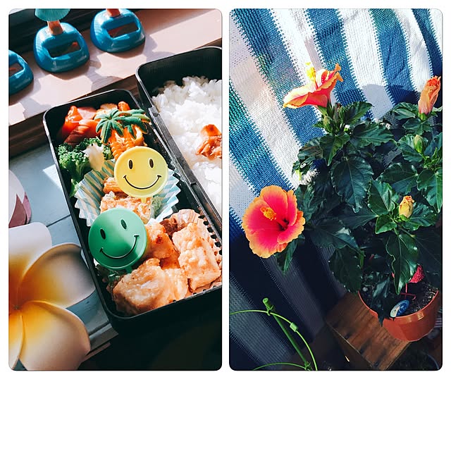 ariceさんの実例写真
